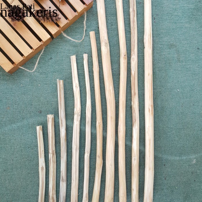 

Terlaris Teak Wood Branch Ranting Kayu Jati 30 cm FXN10 XD9