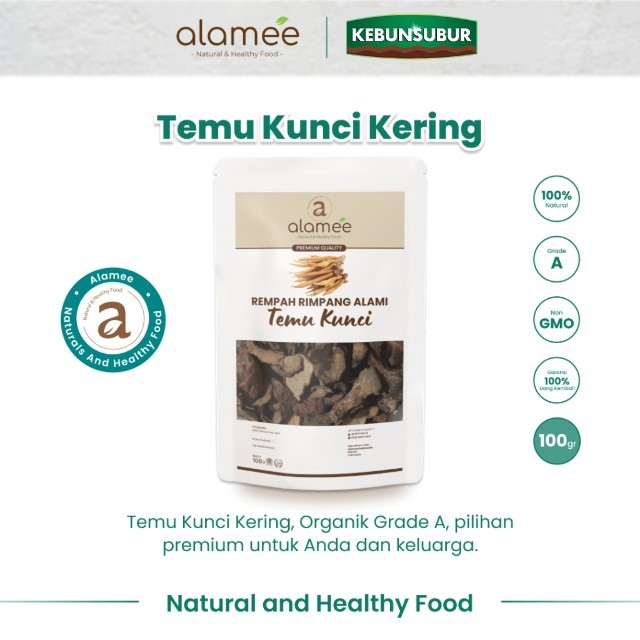 

ALAMEE Temu Kunci Iris Kering Fingerroot Rempah Rimpang Alami Spice 100gr Kebunsubur Kebunsubur