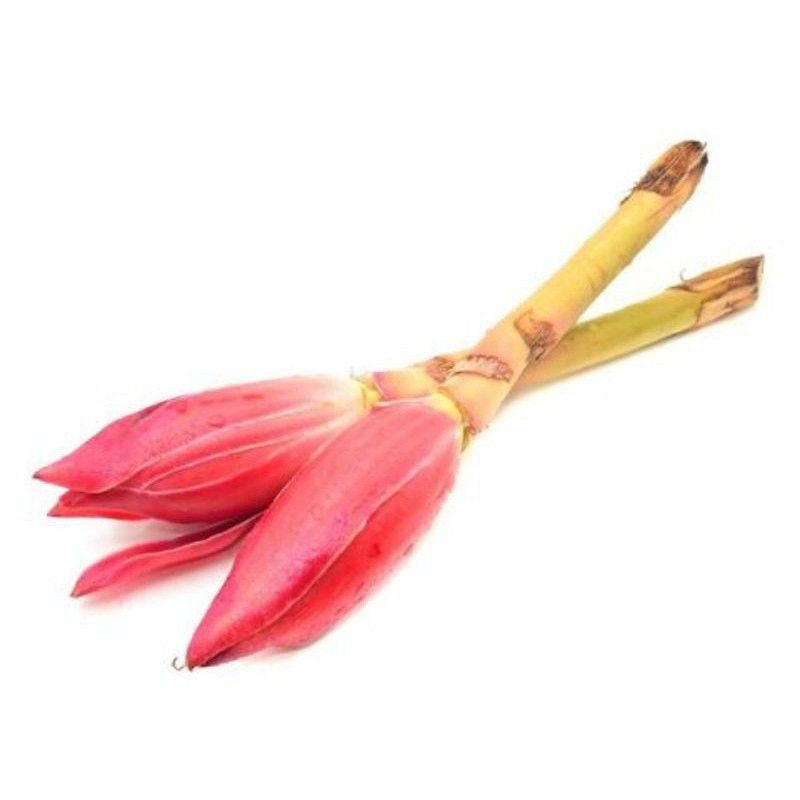 

COD BUNGA HONJE/BUNGA KECOMBRANG ROMEH SEHAT PER 1 PCS reaady