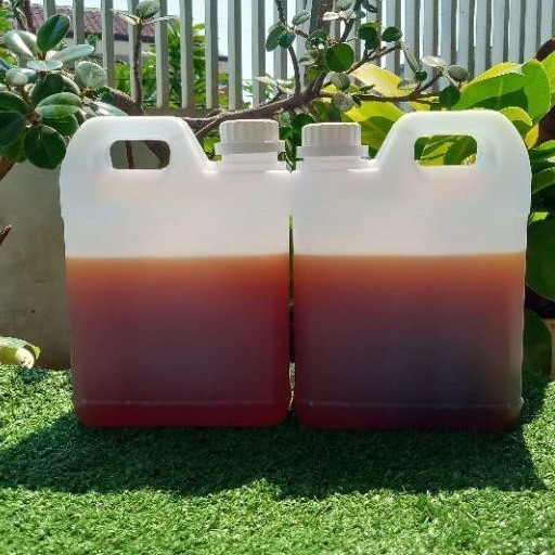 

Madu Murni 100% Sialang Sumatra Net 1 Kg