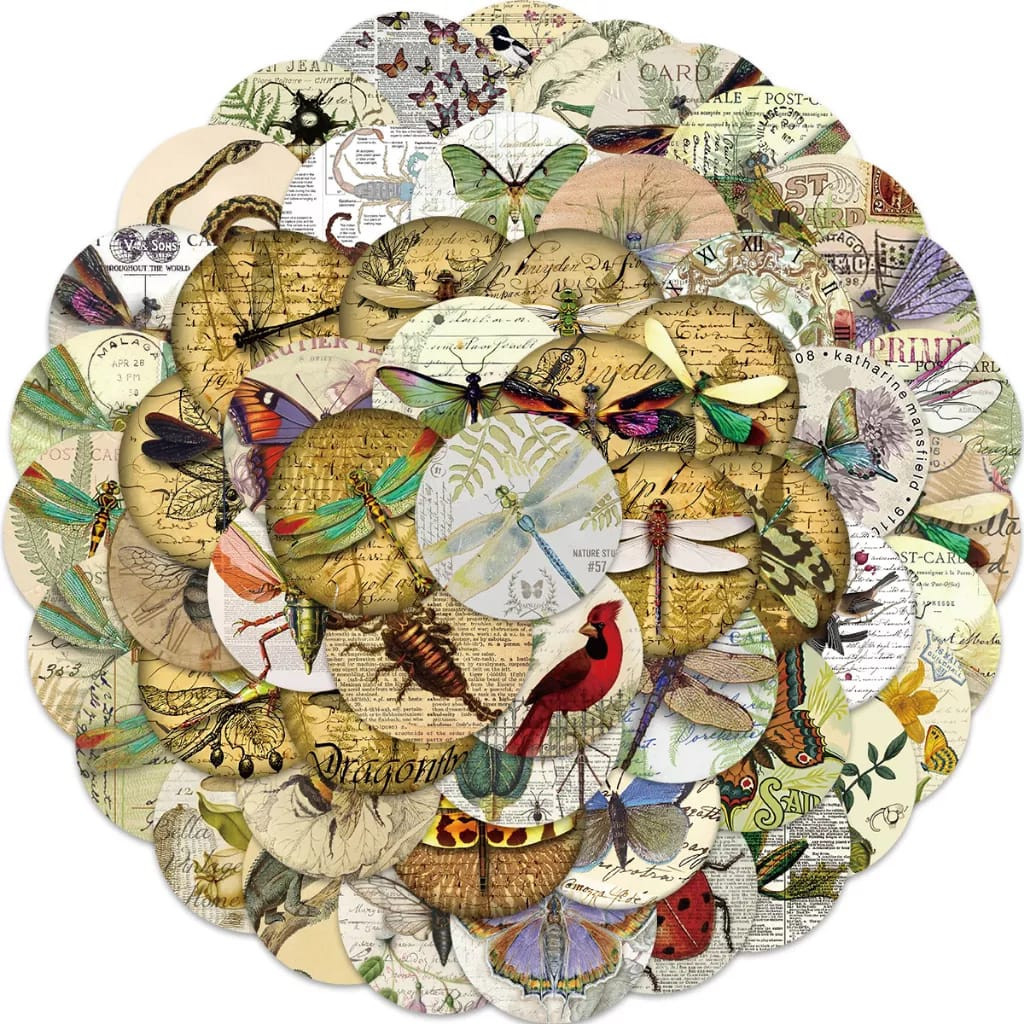 

[ , ] 3pcs Stiker Motif Spesimen Hewan Serangga Aesthetic untuk Laptop, Handphone