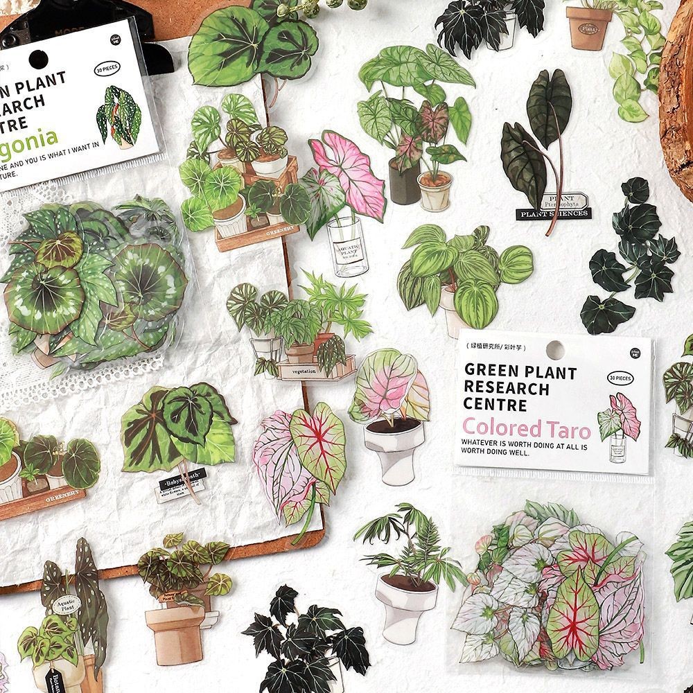 

30 Pcs/pack Plants Leaf Waterproof Decorative Stickers