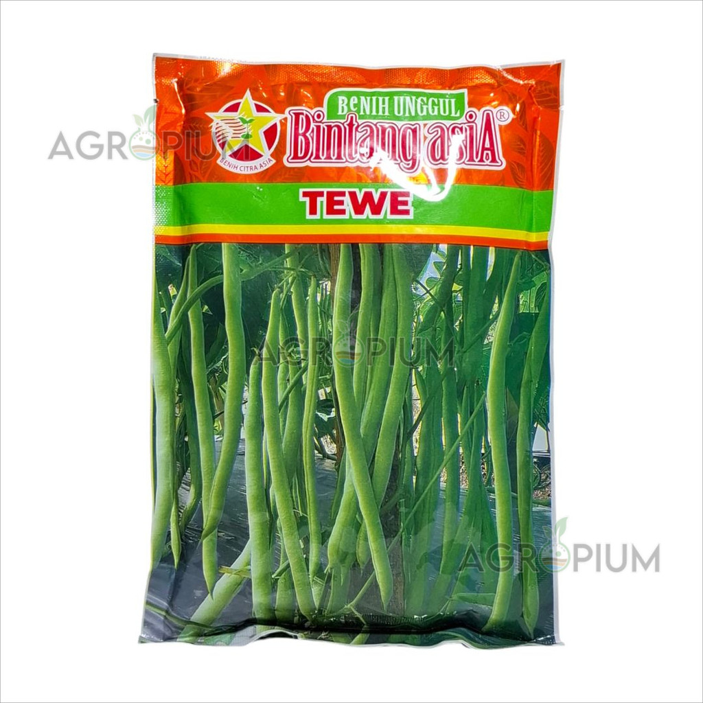 BENIH BUNCIS TEWE 500 GRAM - BINTANG ASIA