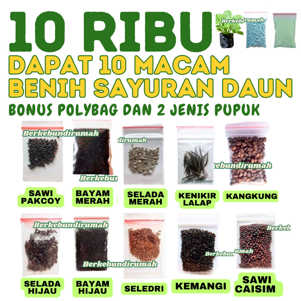 Paket 10 Jenis Benih Sayuran Daun Bibit Sayuran Lengkap 10 Jenis Kangkung  Bayam Hijau Merah Sawi