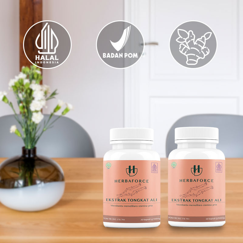 HERBAFORCE Ekstrak Tongkat Ali Obat Suplemen Herbal 30 / 60 Kapsul Memelihara Kesehatan Stamina Pria BPOM HALAL-4