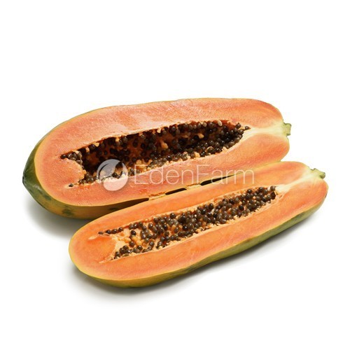 

Buah Pepaya California (0.8-1.2kg/pcs)
