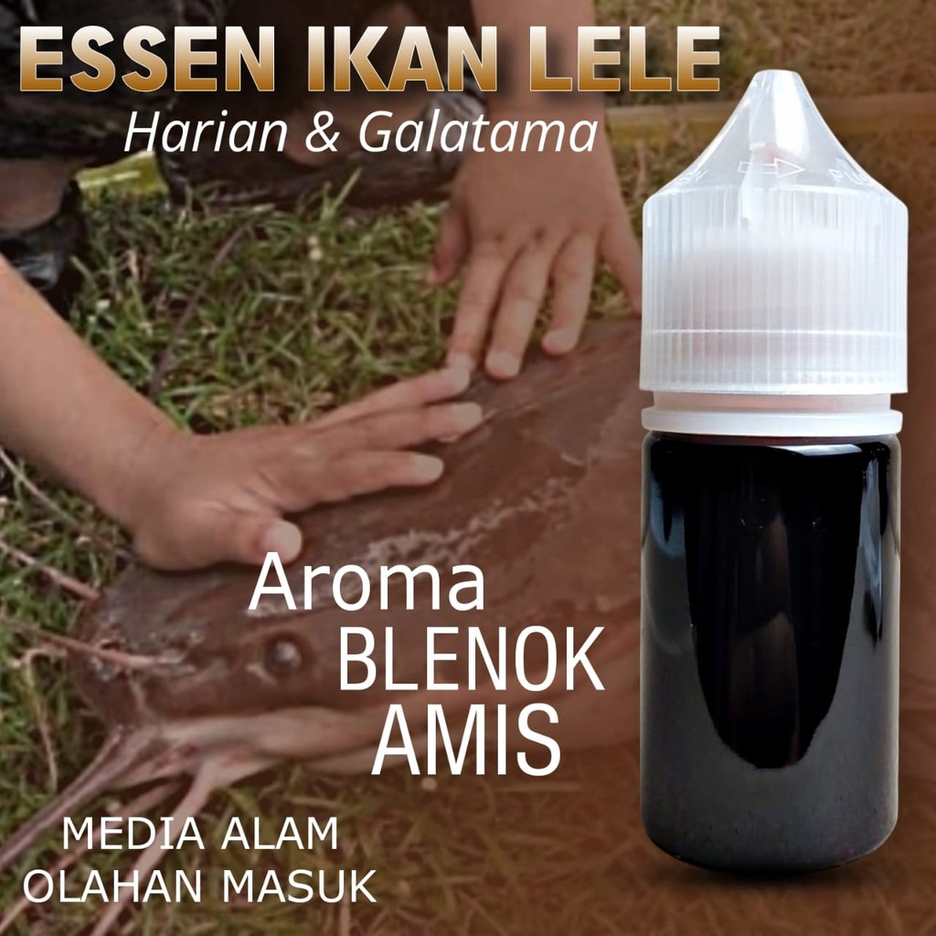 Essen Ikan Lele Aroma Amis Anyir Blenok Amis Warna Hitam Kemasan 30ml Dan 15ml Paling Gacor, Essen I