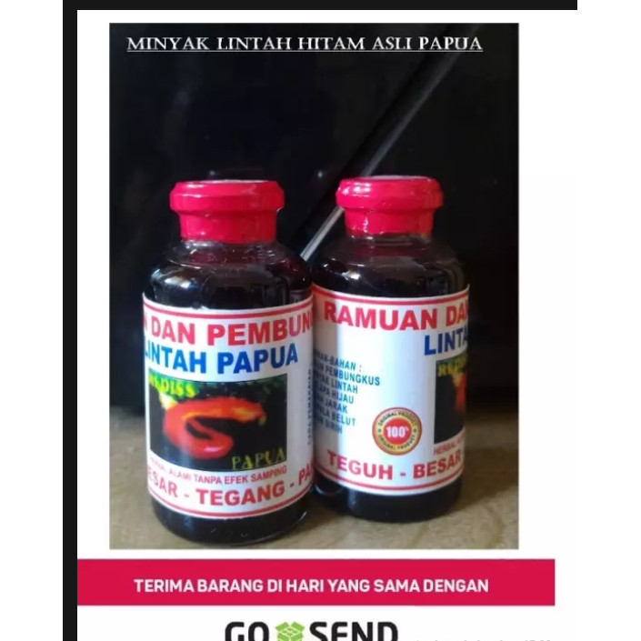

Minyak lintah hitam papua