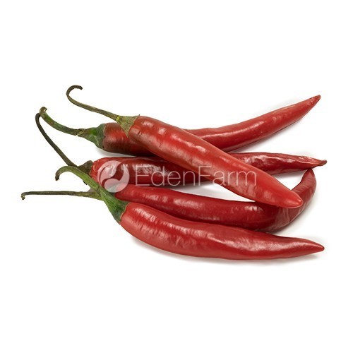 

Cabe Merah Besar / Cabai Merah Besar Segar 1/2 KG - 500 Gram