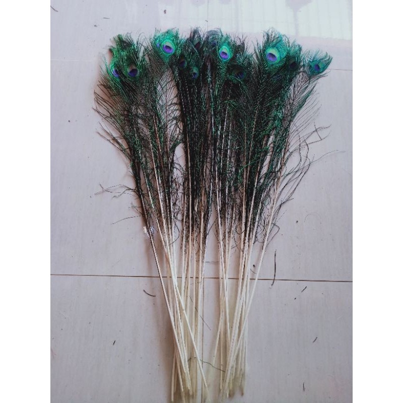 Bulu merak sintetis dpat 10 helai