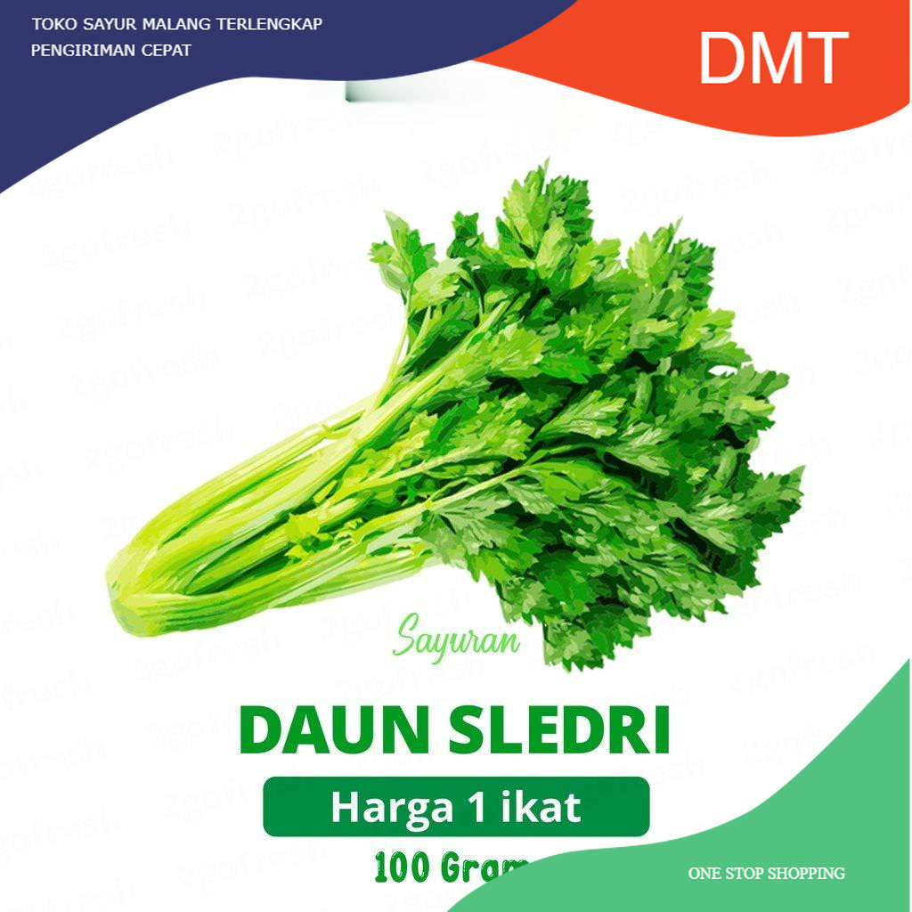 

Daun Sledri / Seledri / Celedri / Green Celery Fresh - Sayur Sayuran