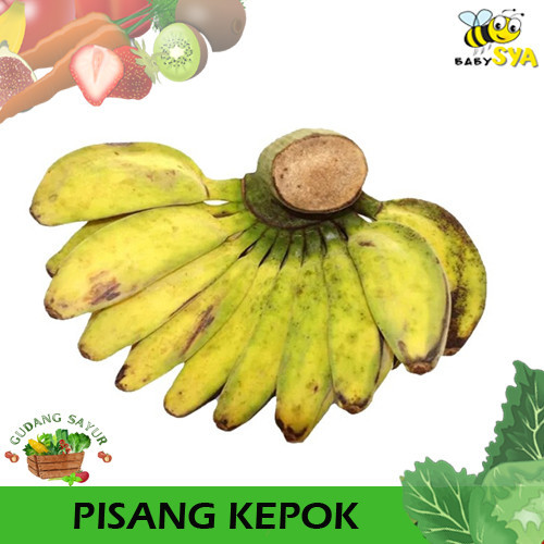 

Buah Pisang Kepok 1 Sisir Buah Segar Buahan Manis Bekasi Jakarta Timur Utara Selatan