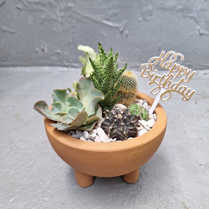 

Terrarium sukulen - Potterra | hampers ucapan- souvenir premium