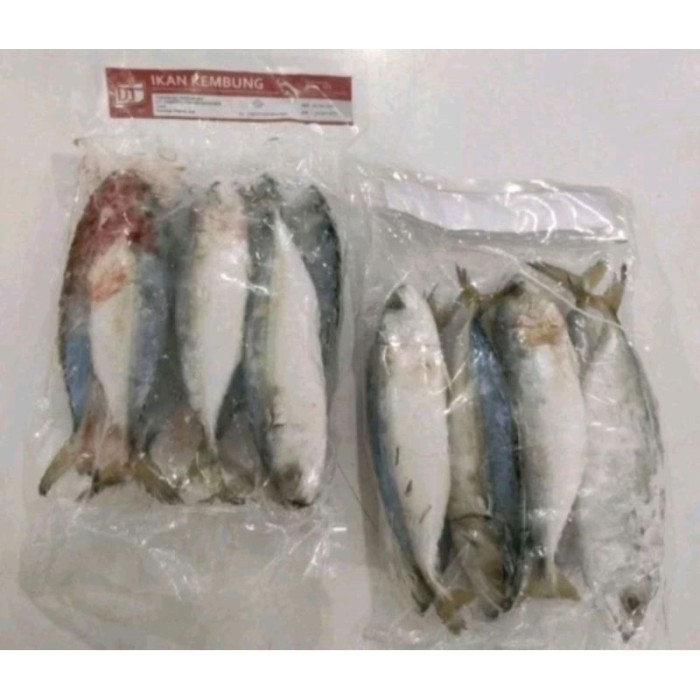 

Ikan Kembung Banjar Beku Frozen 1Kg isi 6-8 pcs