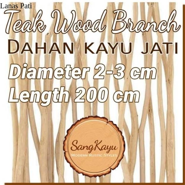

Teak Wood Branch 200 Dahan Ranting Kayu Jati Macrame Craft Dekorasi XD7