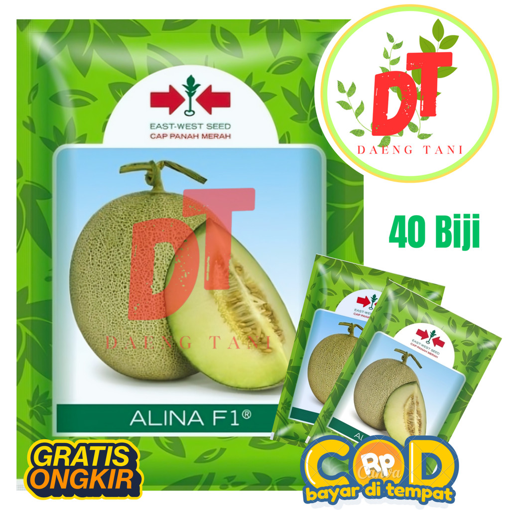 Benih Bibit Melon Madu Tahan Virus Kuning ALINA F1 40 butir Cap Panah Merah