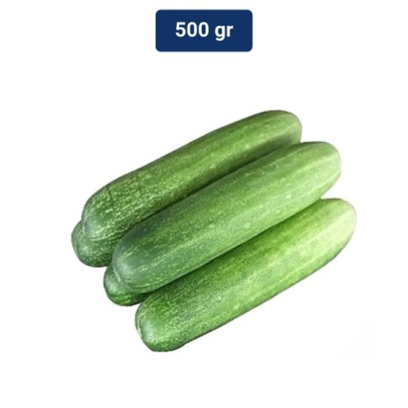 

COD - COD Timun Lokal 500 gr/langsung petik dari kebun/timun muda segar/fresh readdy