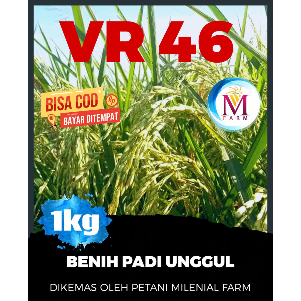 Benih padi vr 46 kemasan 1kg