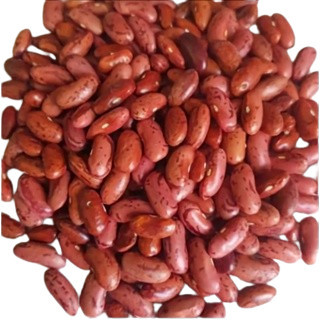 

Kacang Merah Mentah 500 Gram