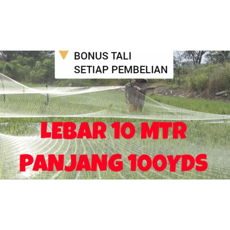 JARING SAWAH LEBAR 10 METER  LUBANG 2 INCH SENAR TEBAL 0.15 mm jaring padi jaring burung pipit jarin