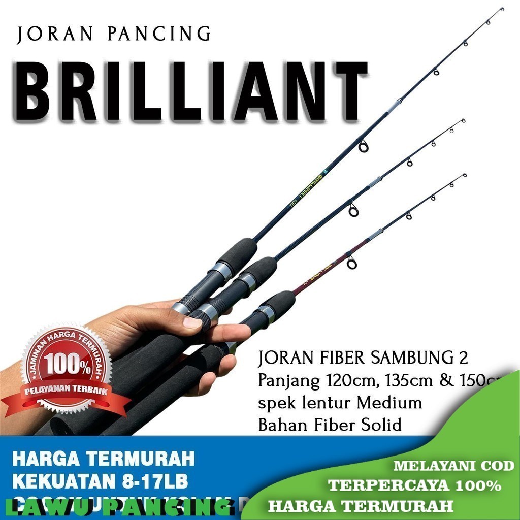 Joran Pancing NEPTUNA BRILLIANT | 8-17LB | Solid Fiber