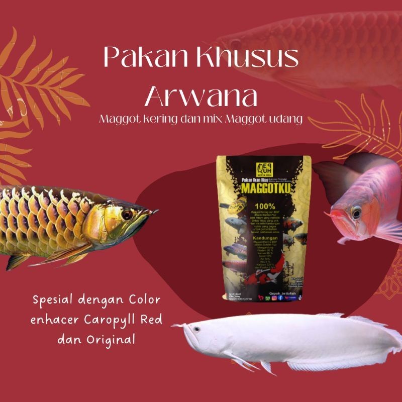 PELET PAKAN ARWANA SUPER RED SILVER RED JARDINI GOLDEN MAGGOT KERING PAKAN ARWANA PREDATOR MURAH PEL