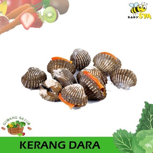 

Kerang Dara Seafood 500gr Ikan Segar Bekasi Jakarta Timur Utara Selatan Pusat