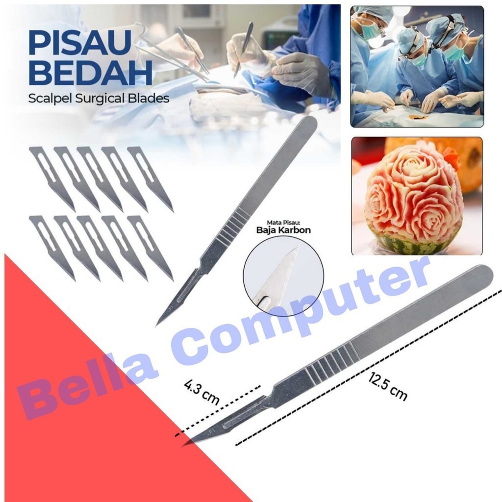 Jun Bei Dao Pian Pisau Bedah Scalpel Surgical Blades 10 PCS Number 11 - YY0174/Pisau Bedah Baja Karb