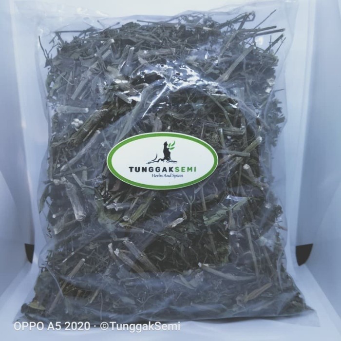 

OMH Terlaris [ 100 gram ] sambiloto kering premium