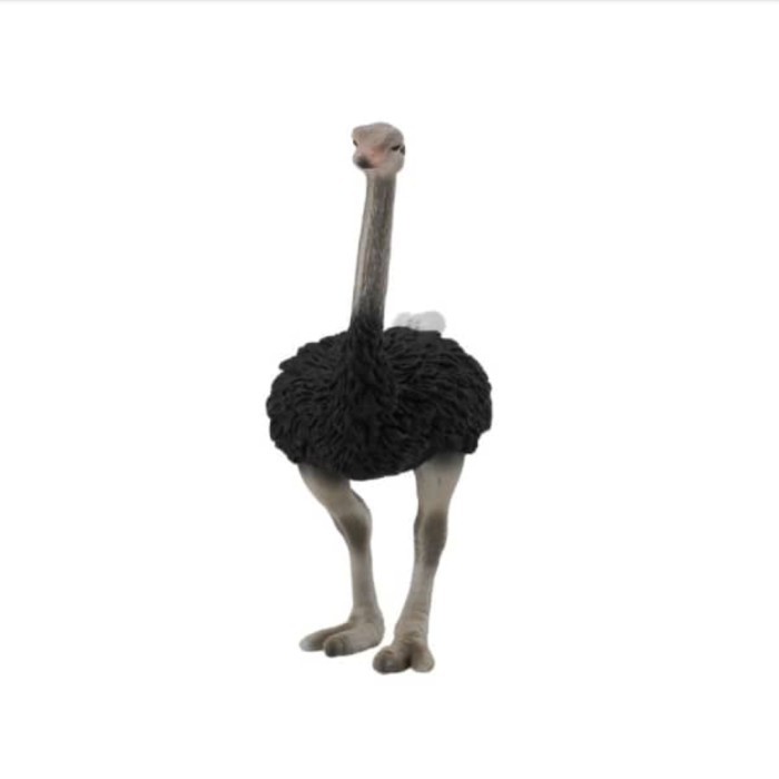 Collecta Figure Ostrich 88459