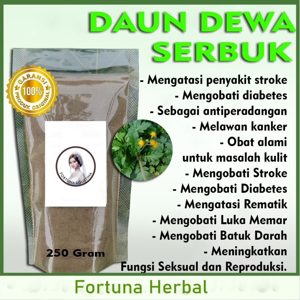 

Daun Dewa Serbuk Herbal , Mengatasi penyakit stroke