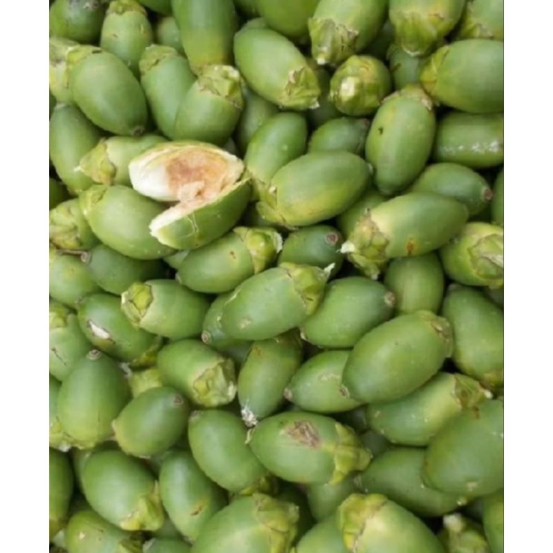 

pinang muda segar 500 gram