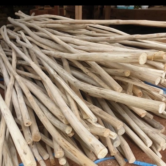 

ranting kayu jati 250cm/10pcs - dekorasi ruangan - bahan kerajinan XD4