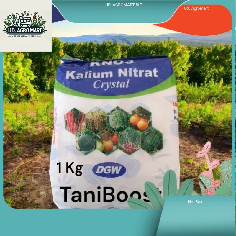 DGW KNO3 Crystal - Kalium Nitrat Murni untuk Pertumbuhan Optimal Tanaman kemasan Pabrik 1kg