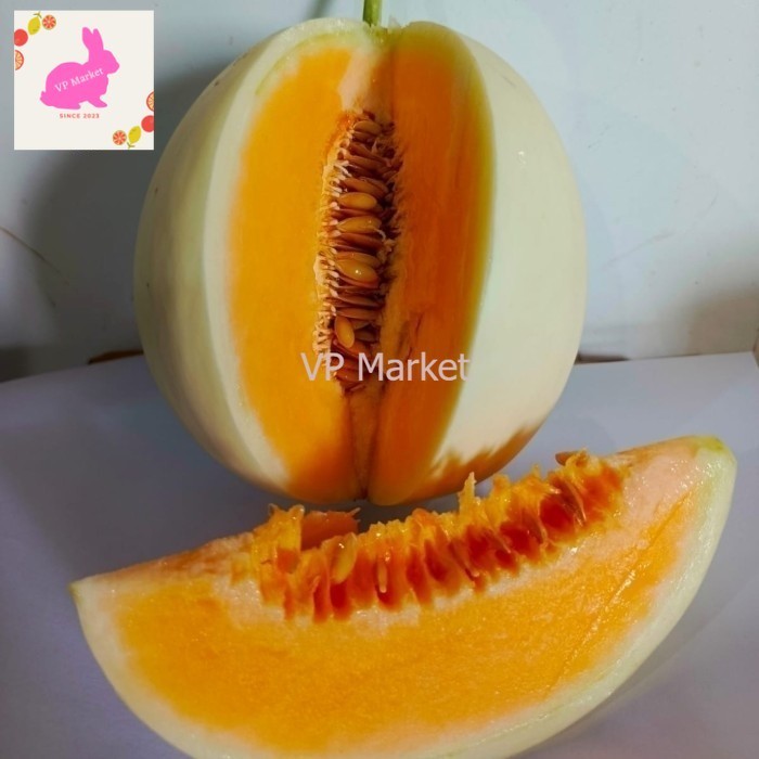 

Melon Hydroponik Taiwan super manis / pics