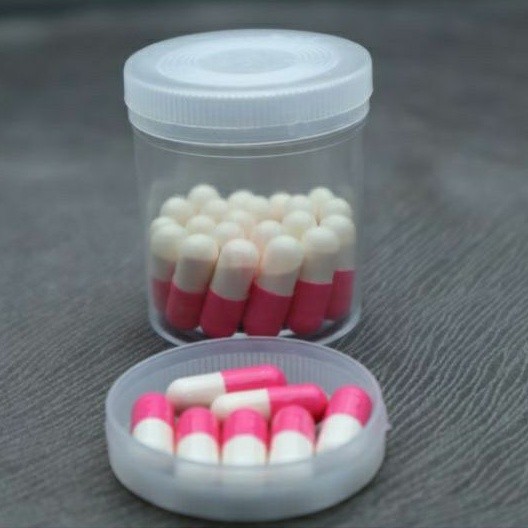 Obat Flu Kucing Flu Berat Virus Batuk Berdahak Pilek Rhinotracheitis Clamydia Bronkitis akut kronis 
