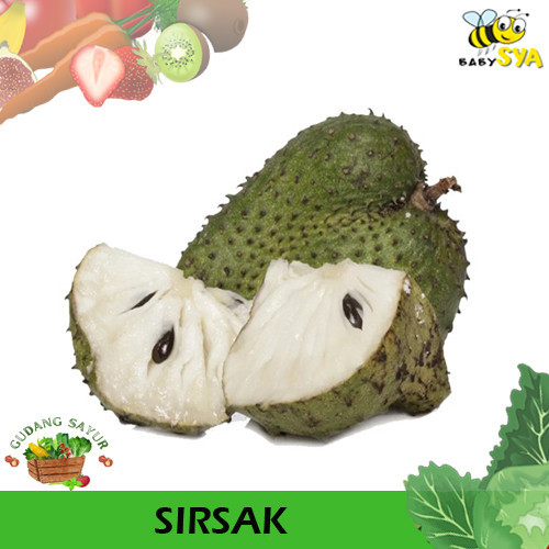 

Sirsak Buah Segar per Buah