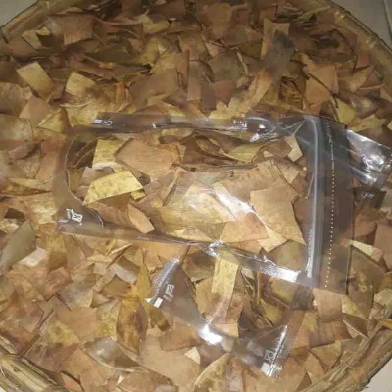

DAUN KARET KEBO KERING MENGOBATI STROKE KEPUTIHAN MELANCARKAN HAID . GATAL PADA KULIT HIPERTENSI plastik vouch