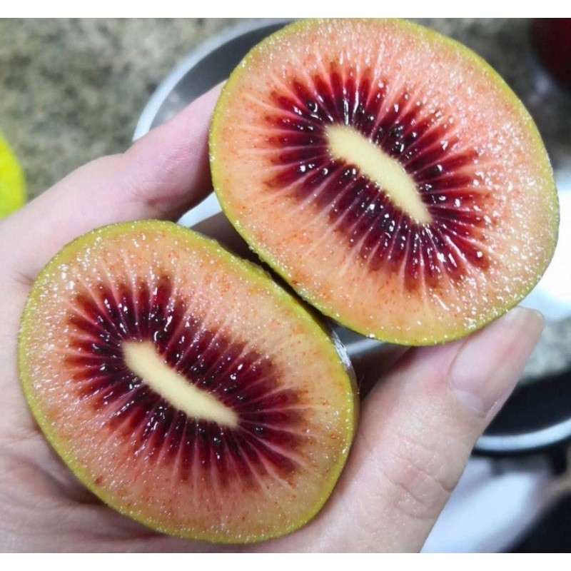 

kiwi merah / red kiwi 500gr /pack - BEST Fresh Food