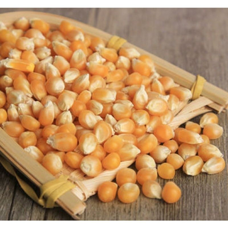 

MURAH Jagung Pop Corn Mentah 250gr SS