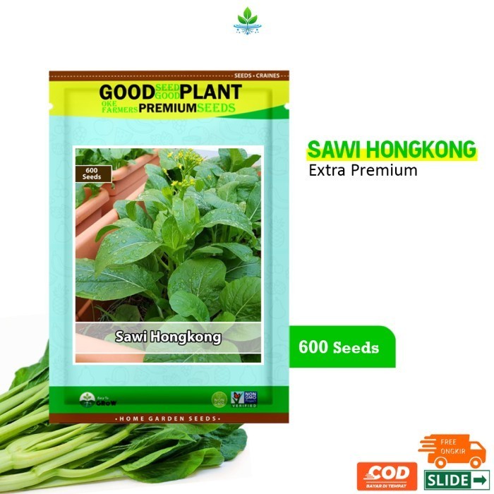 GOODSEED - 600 Biji Benih Bibit Sawi Bunga Hongkong Caisim