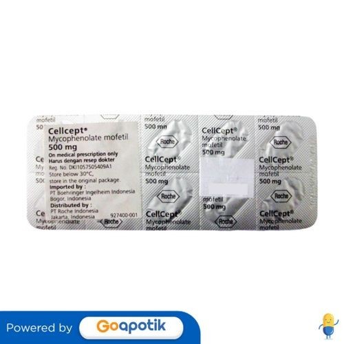 Cellcept 500 Mg Strip 10 Kaplet