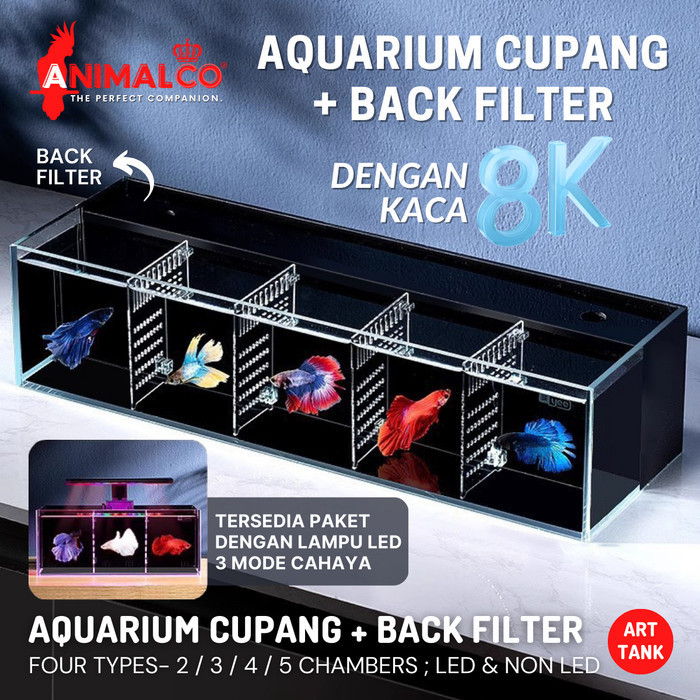 Soliter Aquarium Kaca Tempat Cupang + Filter Ikan Mini Sekat Set Akuarium Betta Guppy Molly