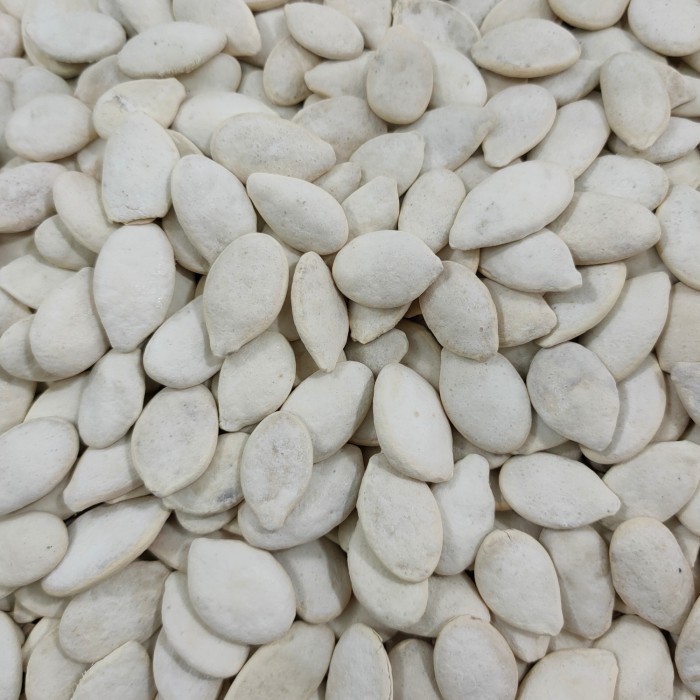 

[[ K23 - BEST SELLER ]] kuaci putih import.biji labu super 500gr