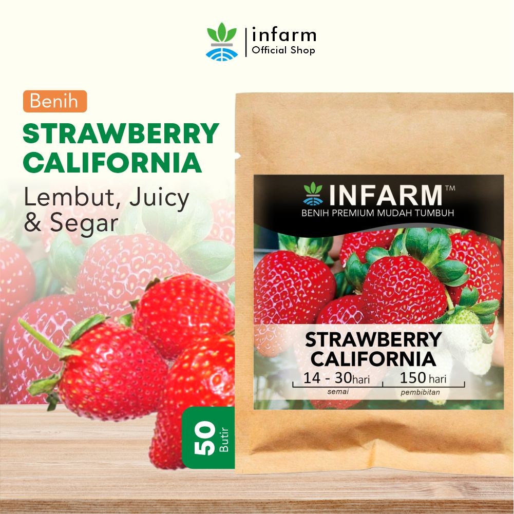 Benih Jaya - Bibit Strawberry California 50 Butir Benih Buah Strawberry Merah Besar Manis Segar Biji