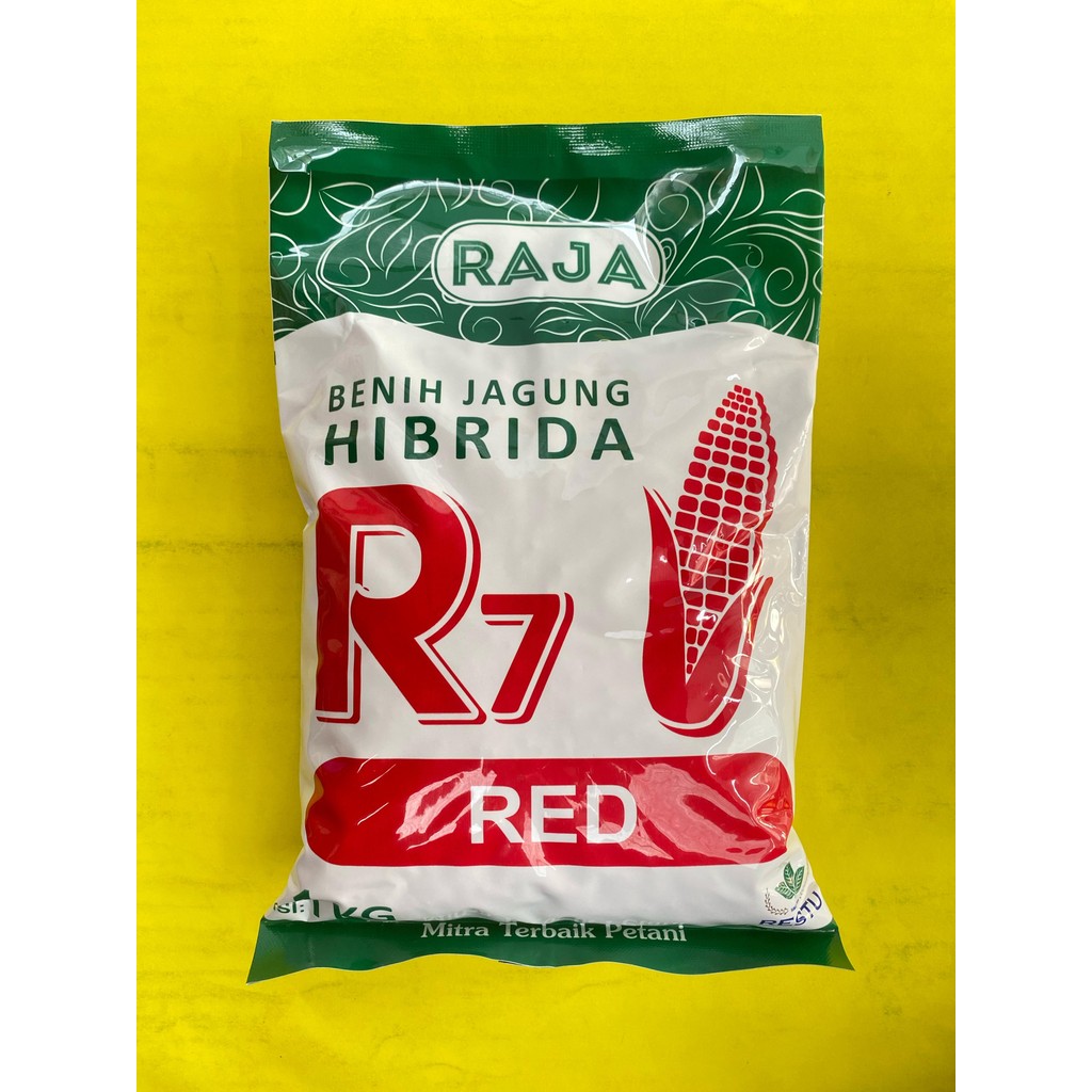 Benih jagung hibrida R7 GOLD RED ULTIMATE UNION kemasan 1kg dari RAJA S