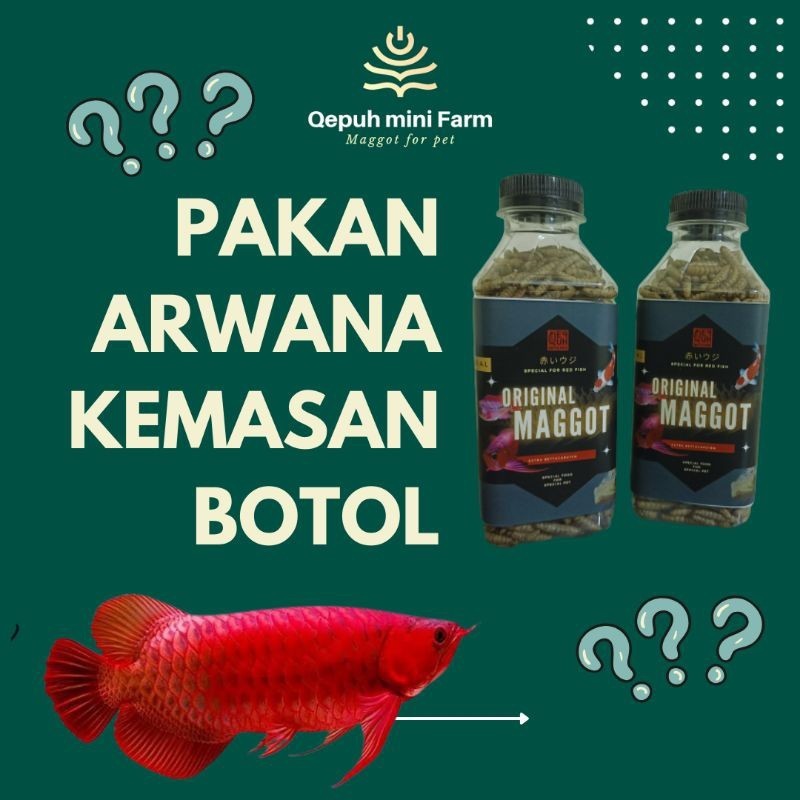 PAKAN IKAN ARWANA PELET IKAN ARWANA JARDINI SILVER GOLD, PAKANIKAN PREDATOR, OSKAR, RTC, ALIGATOR, K