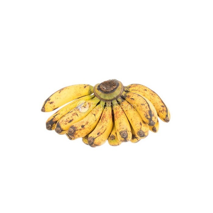 

Buah Pisang Barangan Satu Sisir