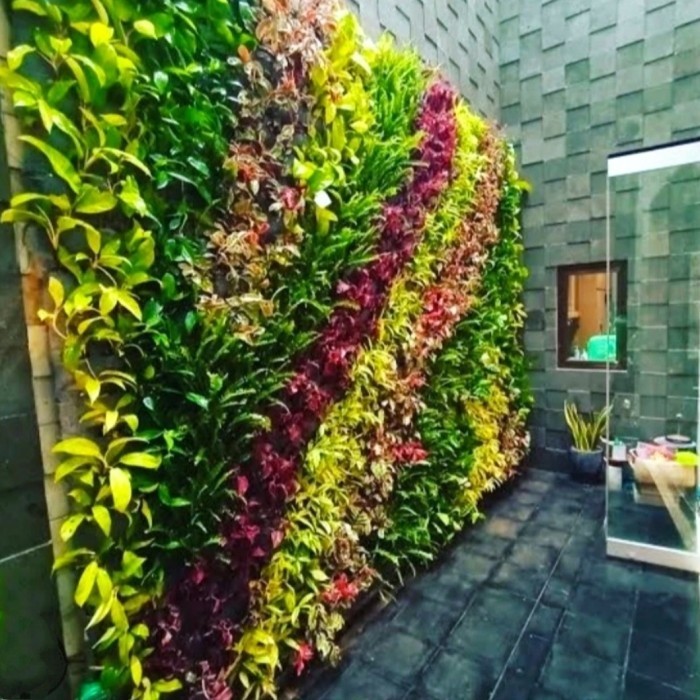 paketan 7 jenis tanaman vertical garden - tanaman vertical garden