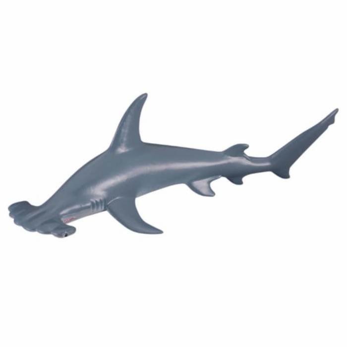 Collecta Miniatur Scalloped Hammerhead Shark